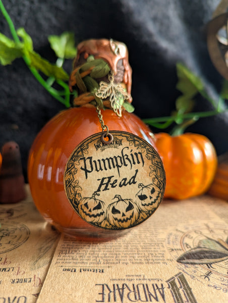 Pumpkin Head Potion (Magnetic Stirring Version)