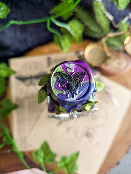 Belladonna
