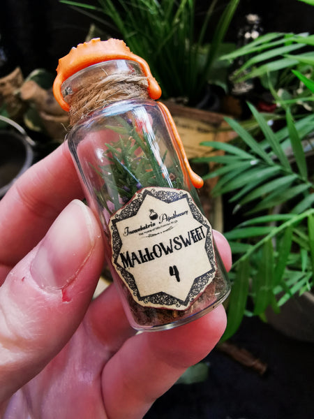 Essential Magical Plants & Herbs Kit